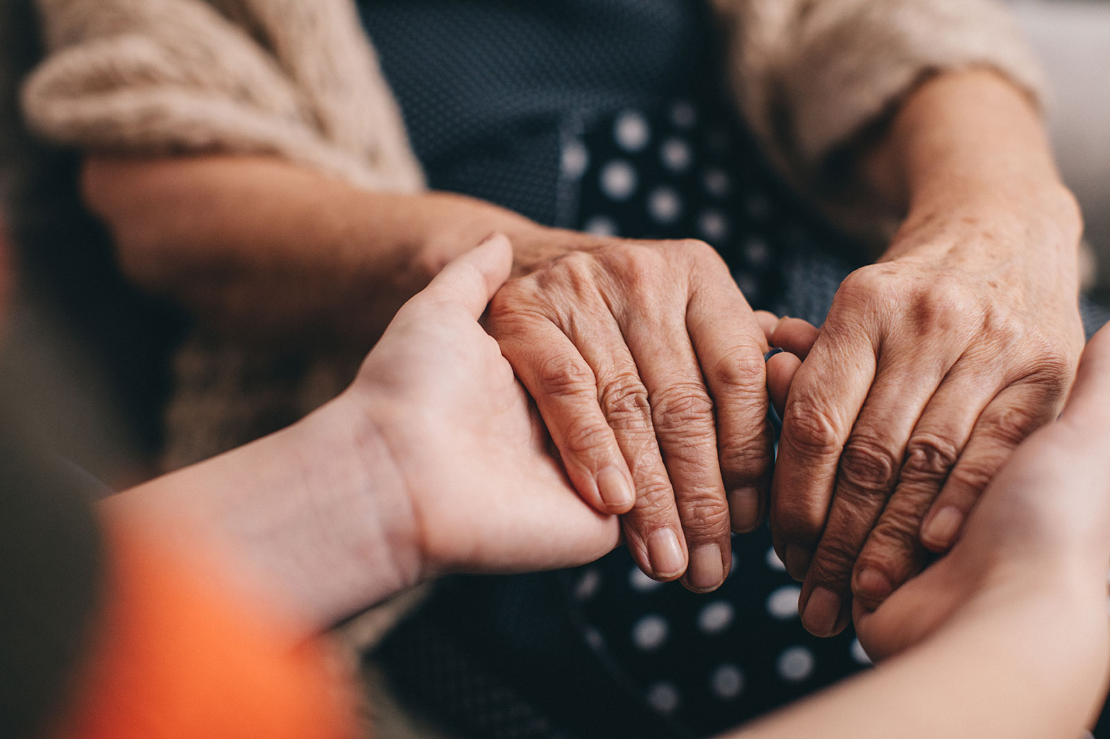 Photo of younger person warmly holding older person's hands 